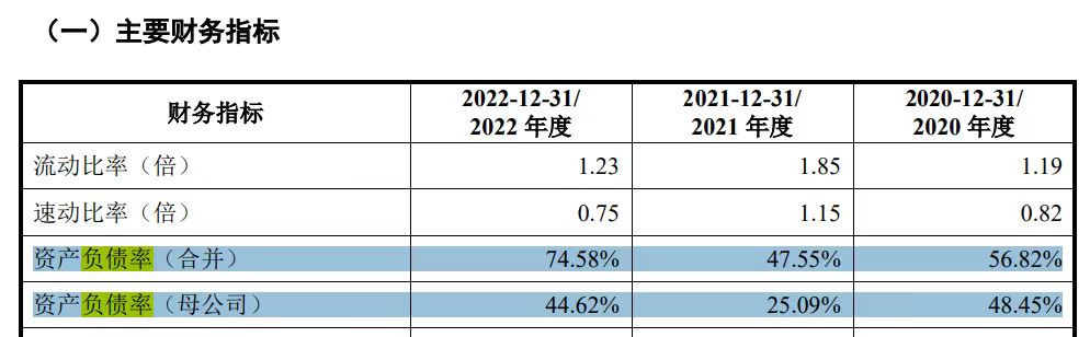 负债率高于60%的股票怎么样,负债率与净利润