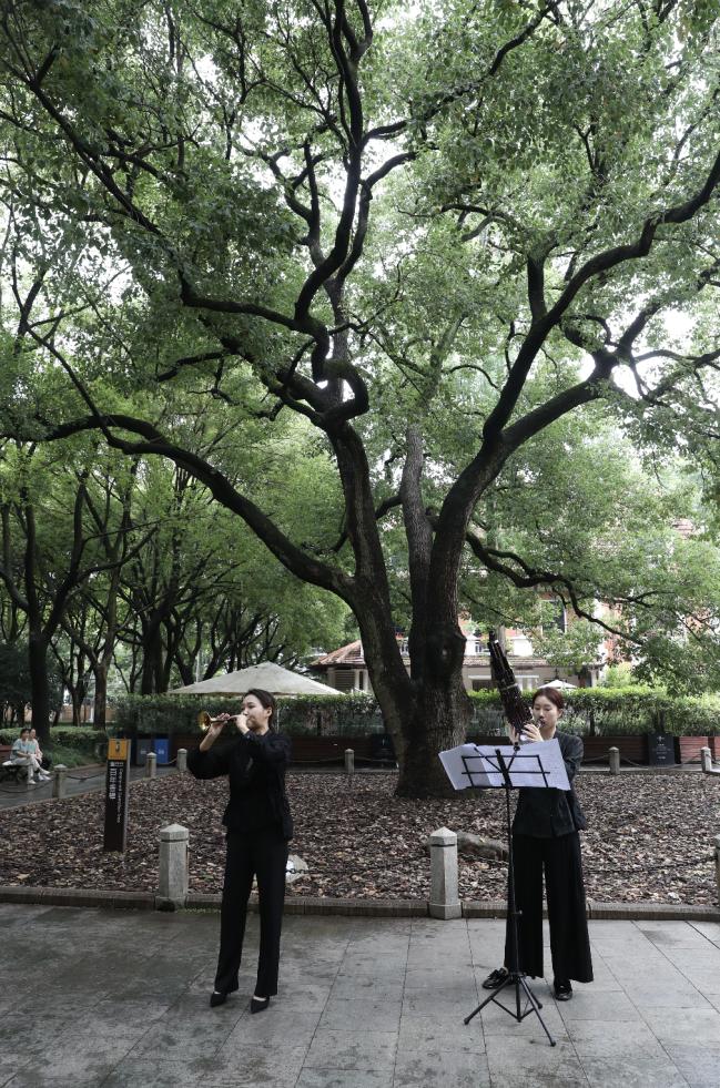 鐧句唬灏忔ゼ蹇棯,鐧句唬灏忔ゼ涓婃捣