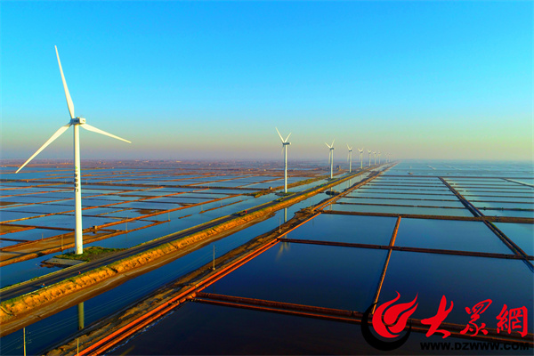 滨州市紧抓“三品一标”创建，助力对虾产业跑出“加速度”