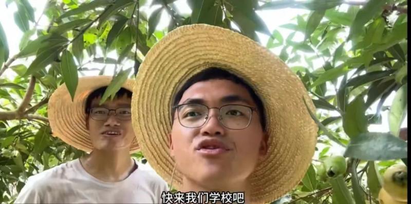 “番石榴、芒果、荔枝……吃不完，根本吃不完”，云南农大招生短视频又火了