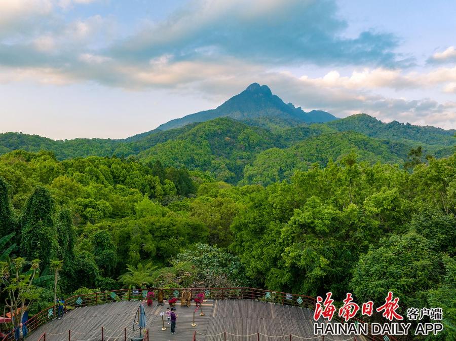 海南暑假旅游攻略自由行,海南研学亲子游