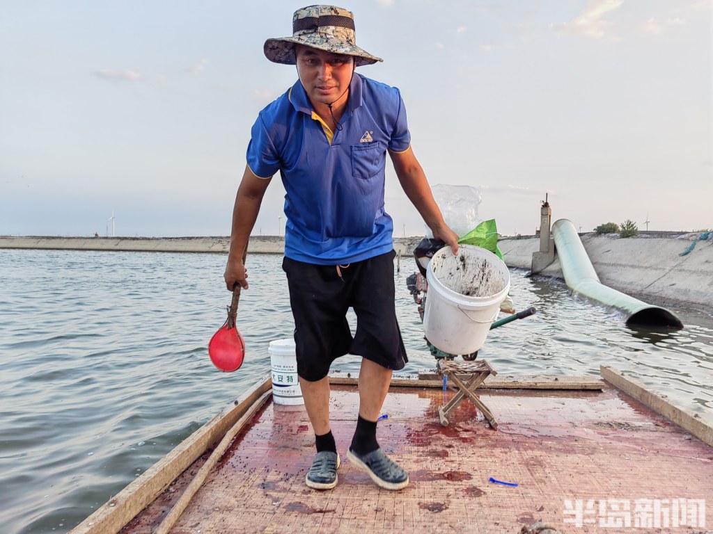 青岛虾农，跨城淘金！2000多位大拿，走南闯北；20多万斤鲜虾，每天从鳌山卫游向全国
