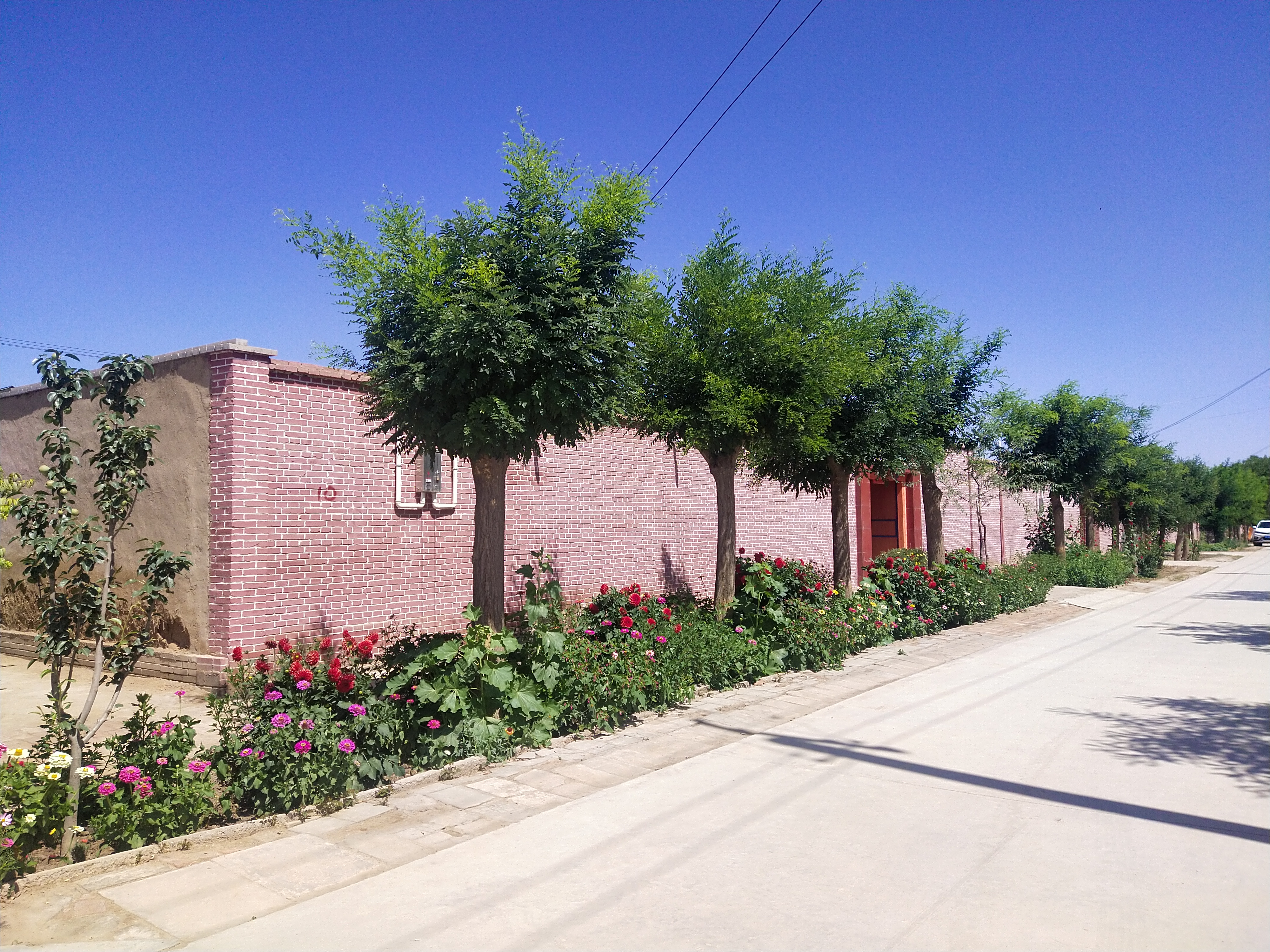 老李头的香水店,老李头普洱茶店