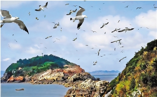 碧海蓝天也是金山银山，沈满洪：绿色发展让洞头换一种方式“靠海吃海”