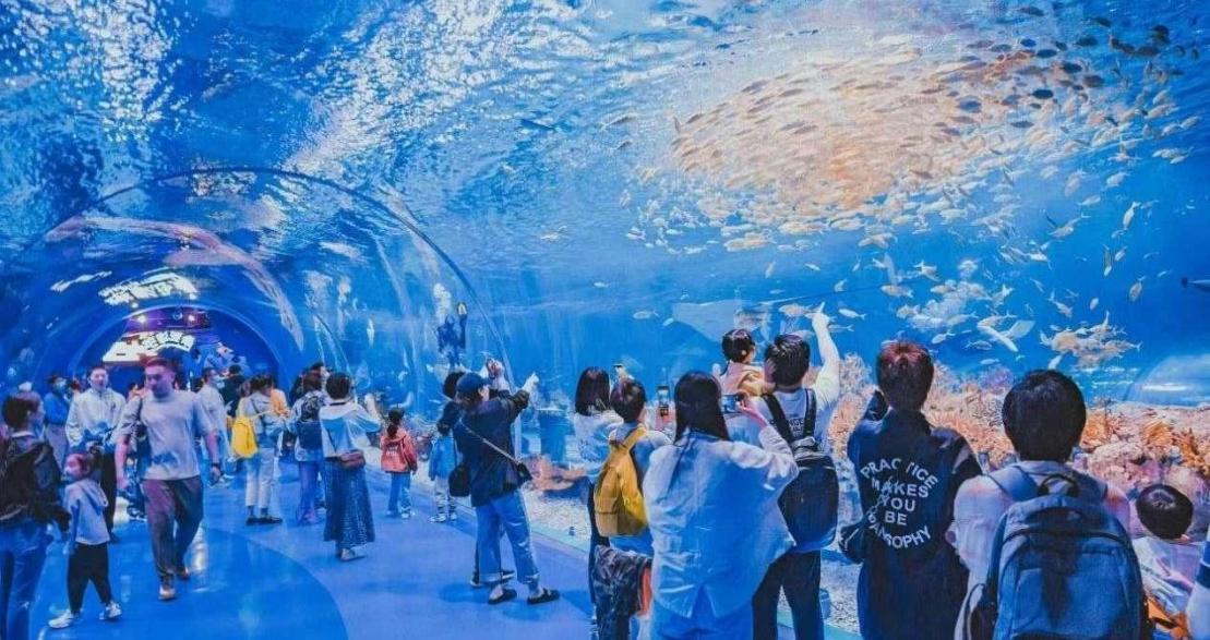 海昌海洋公园出去了还能再进去吗,海昌海洋公园郑州进去不能带什么