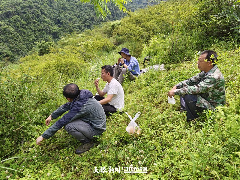 【富矿精开•探矿先锋】大山里的“背包客”|走近省地质调查院矿产地质调查员