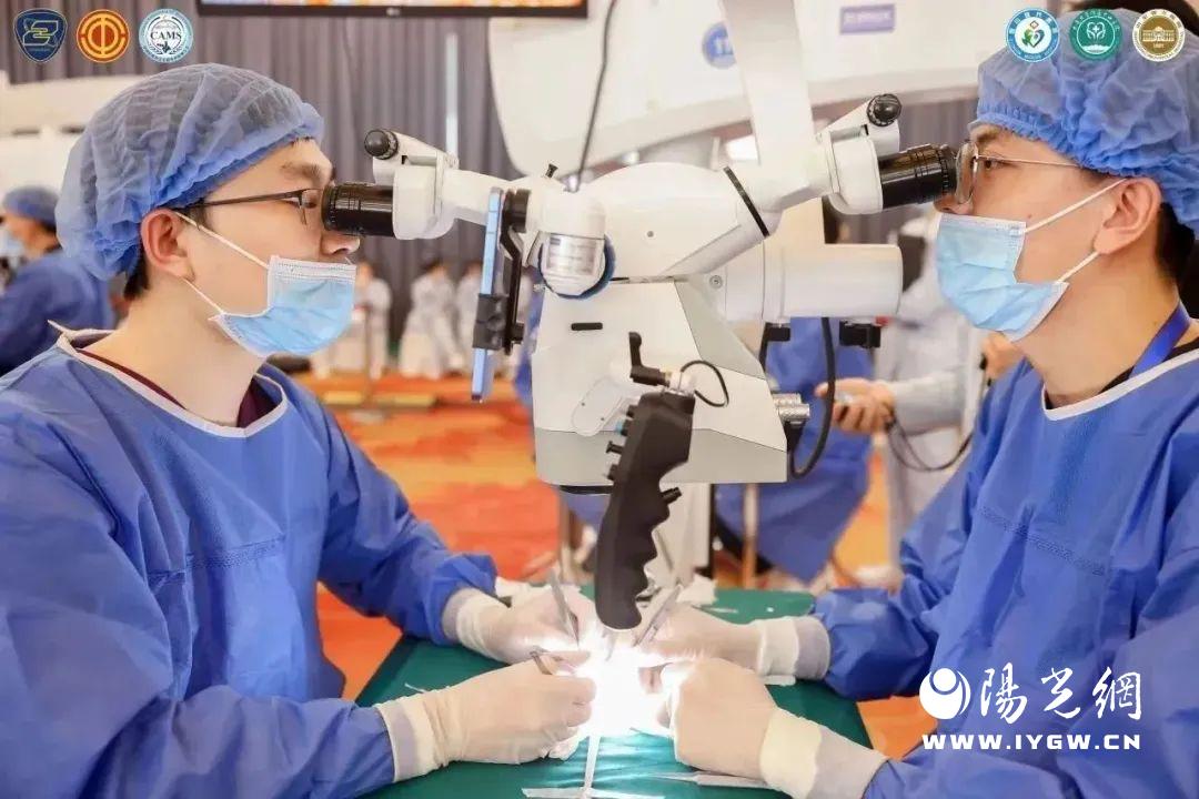 显微血管缝合大赛,超级显微血管吻合大赛