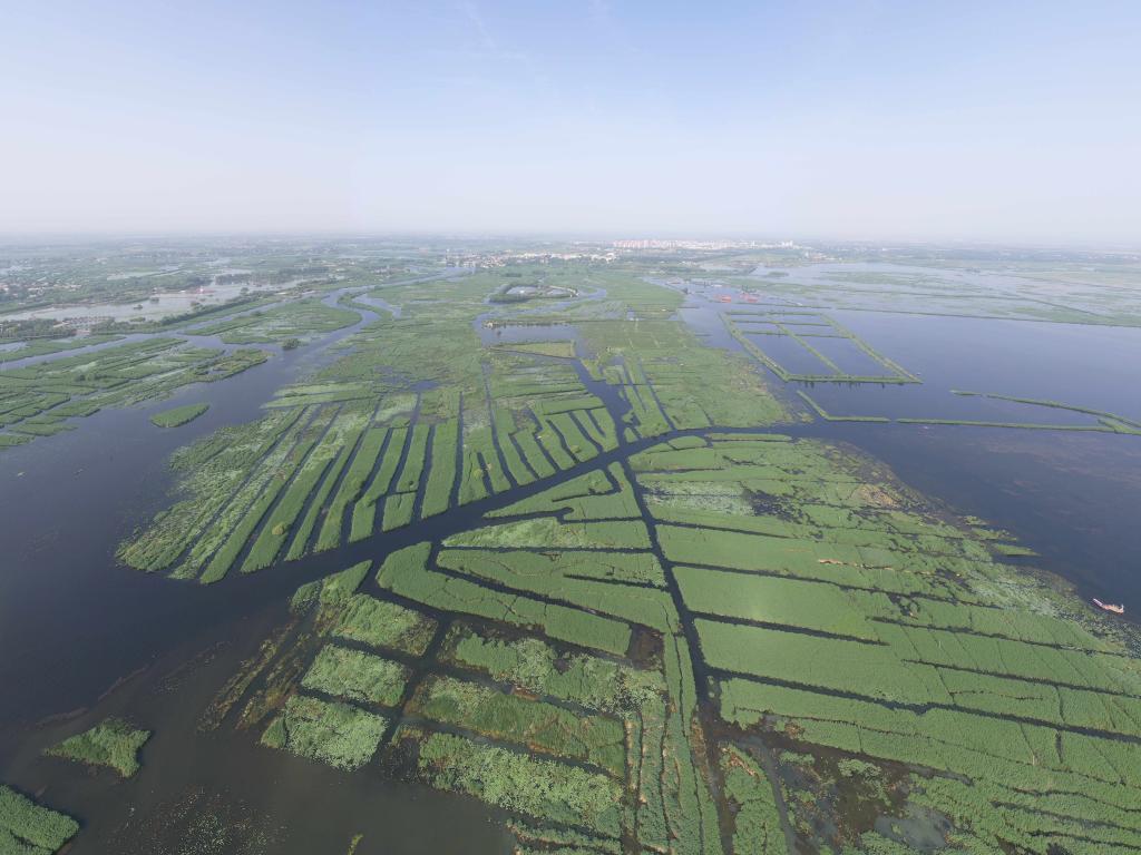 雄安新区7岁了——总书记关心的“华北明珠”白洋淀重现光彩