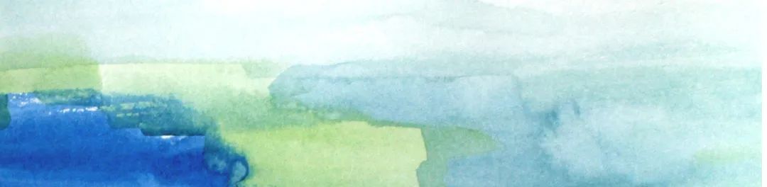 上海曲水园菊花展,曲水园兰花展