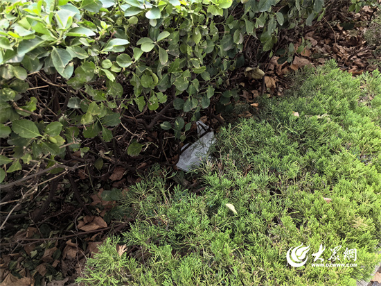 鏈夋穭鏈夌埍浜夊仛鏂版椂浠ｅ仴搴峰ソ灏戝勾,鏈夋穭鏈夌埍浜夊仛鏂版椂浠ｇ編寰峰ソ灏戝勾