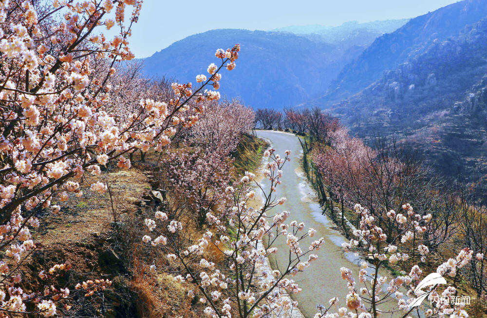 日照惊艳景色,日照浪漫日出