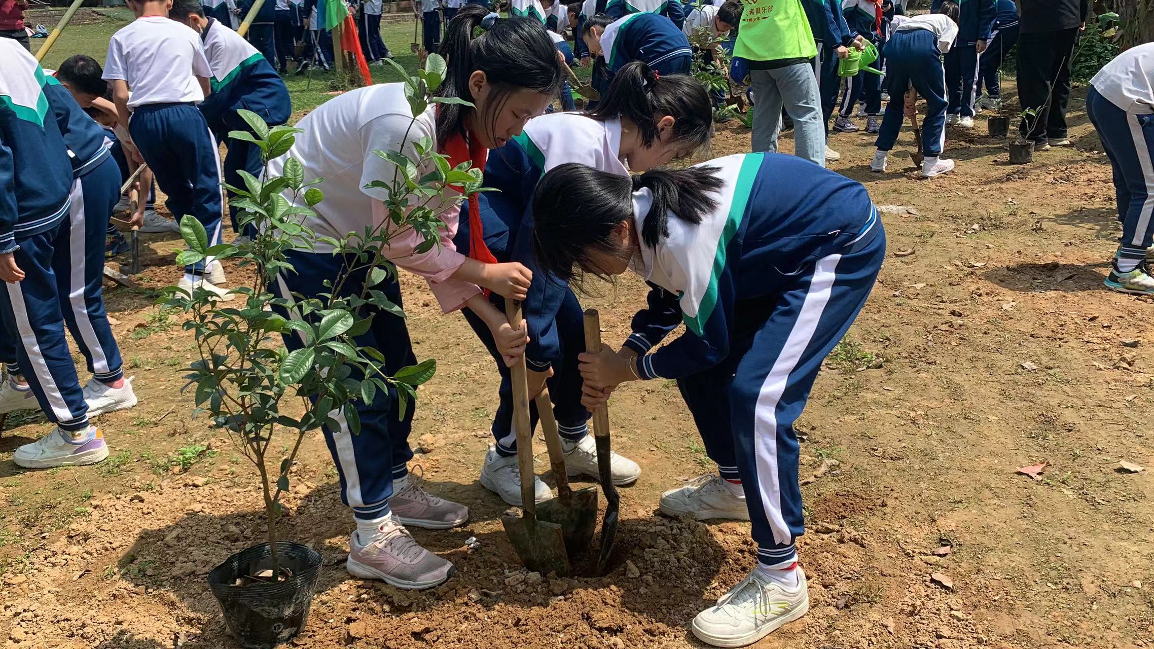 植树研学活动,植树节研学游活动