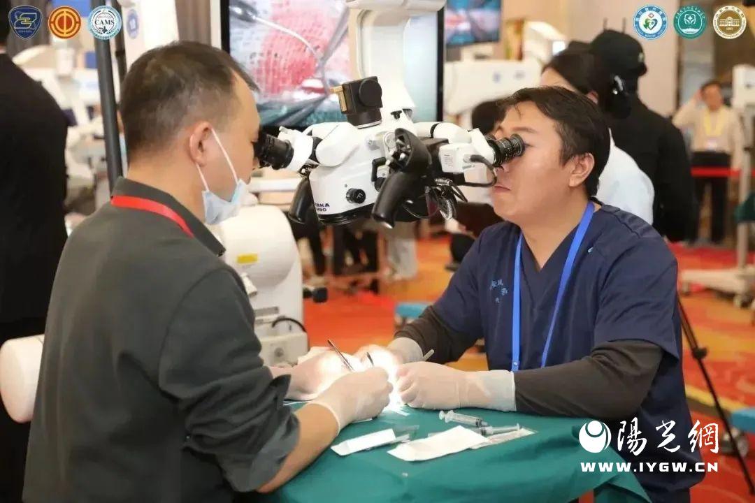 显微血管缝合大赛,超级显微血管吻合大赛