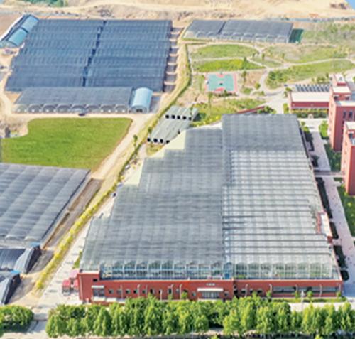 青岛：打造创新策源地，基因与细胞产业发力“未来”