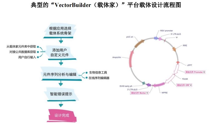 云舟生物ipo,云舟生物中止ipo