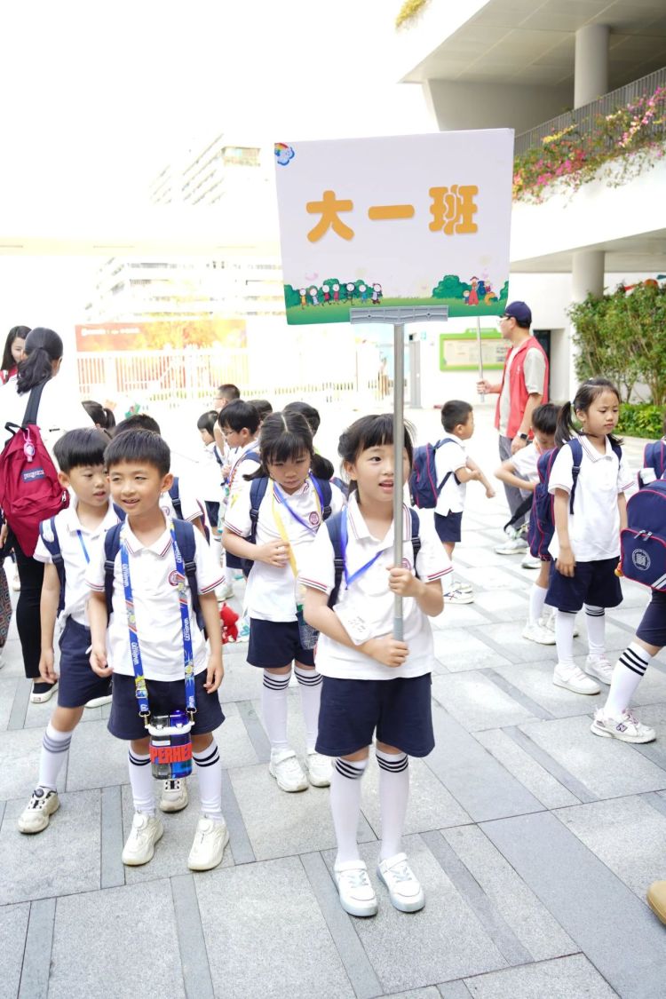 探秘小学幼儿园,探秘小学