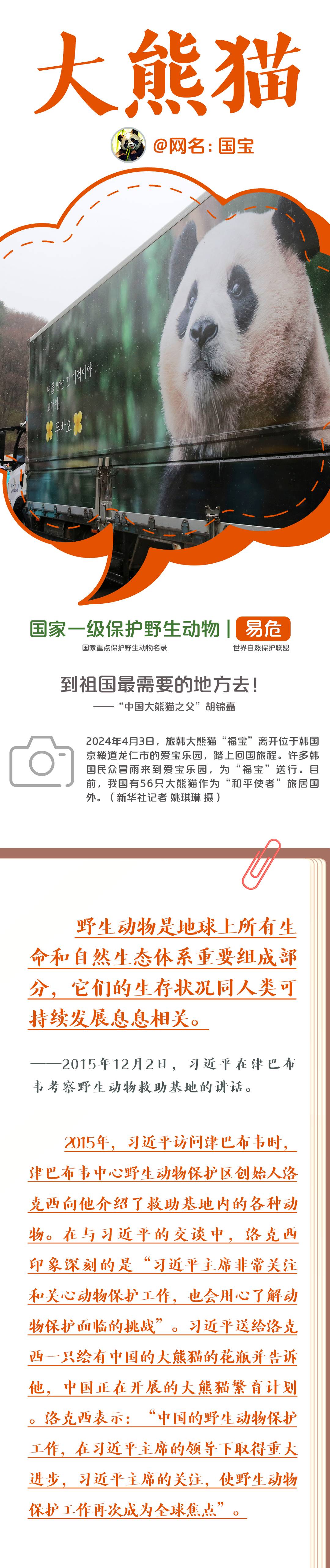 大熊猫的朋友圈,大熊猫朋友圈